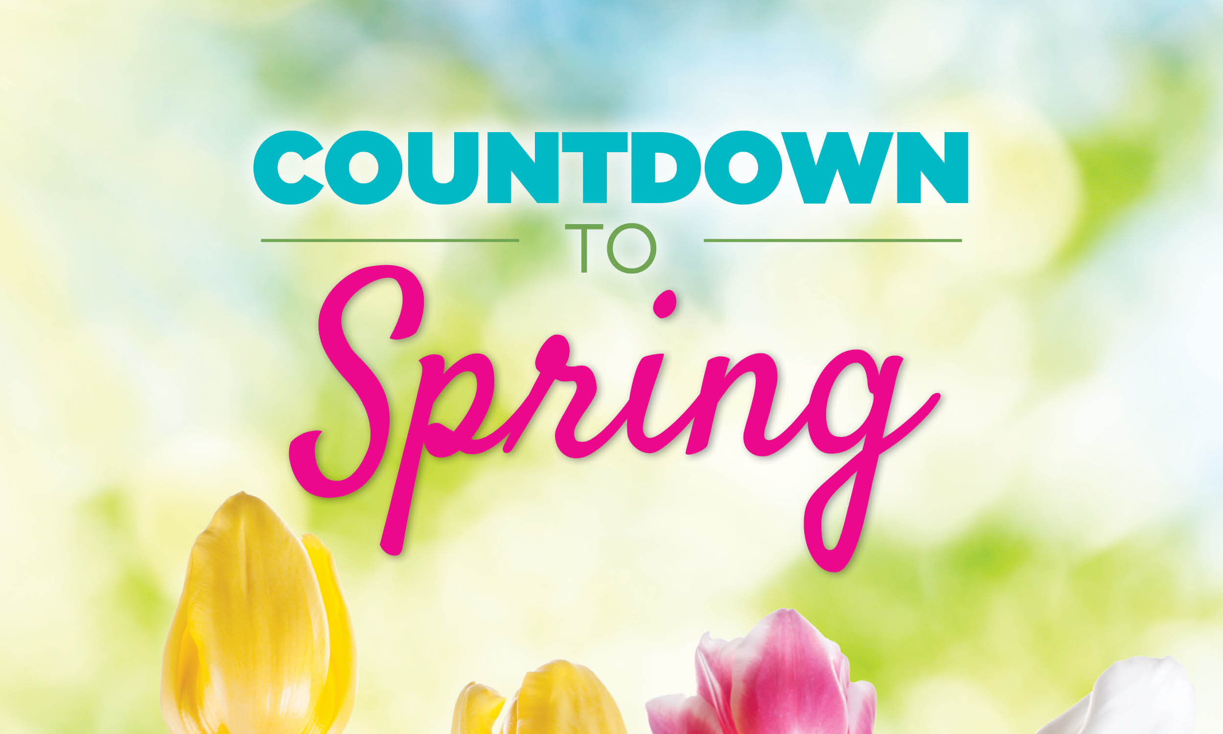 Spring 2025 Countdown Calendar Maria Edmunds